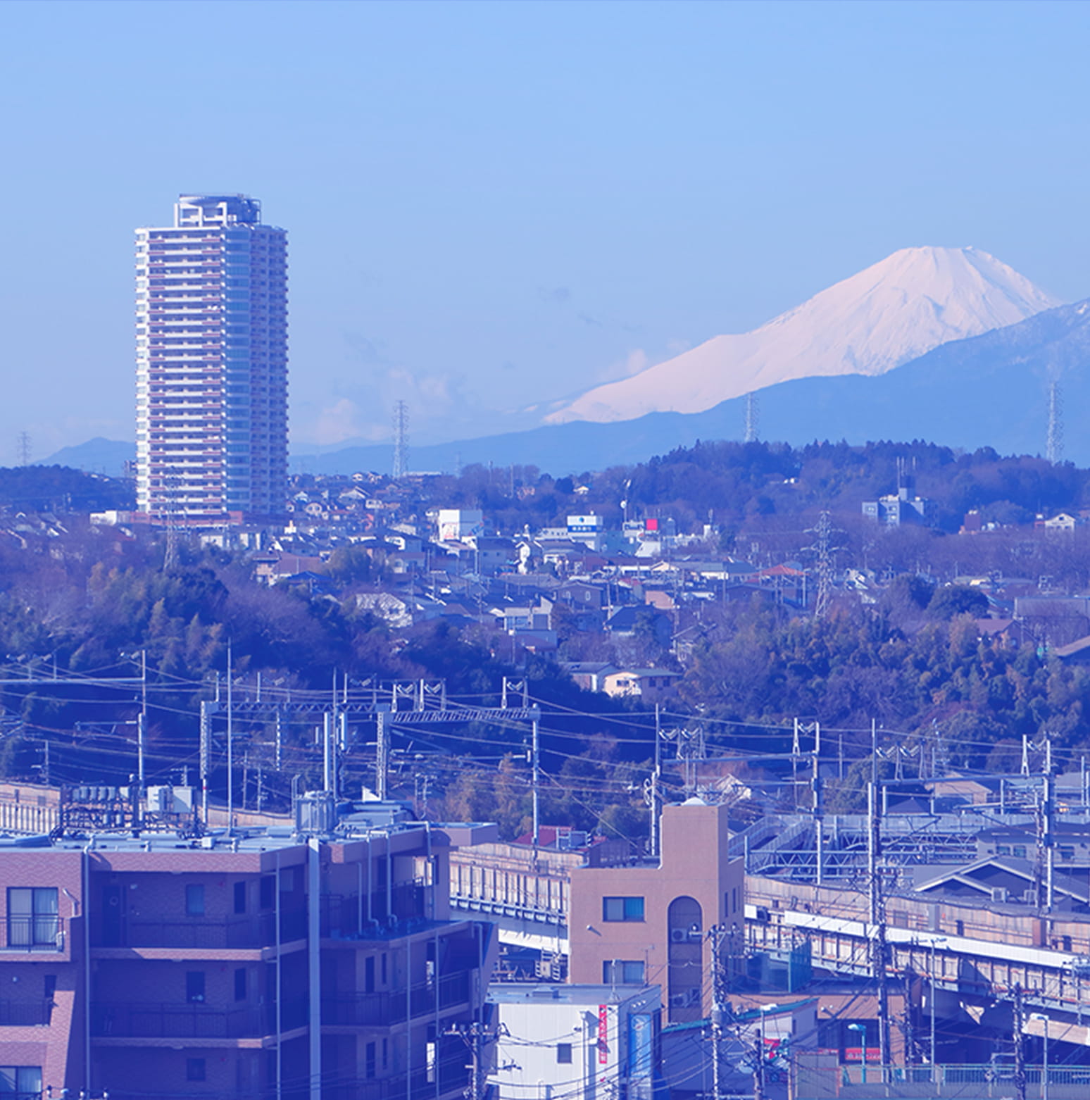 株式会社ライズについて